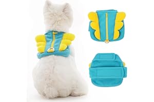 MORVIGIVE Backpack for Small Dogs to Wear with Pockets,Lightweight Adjustable Harness with D-Ring,Cute Walking Harness for Park,Seaside,Outing Hiking,Spring Colorblock Wing Design (Blue,M,8-16lb)