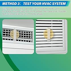 Mold Test Kit for Home - 12 Simple Detection