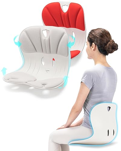 curble WIDER 2PACK, Ergonomic Lower Back Support Chair, Lumbar Support for  Back Posture Corrector and Low Back Pain Relief, Portable, for Office Chair 