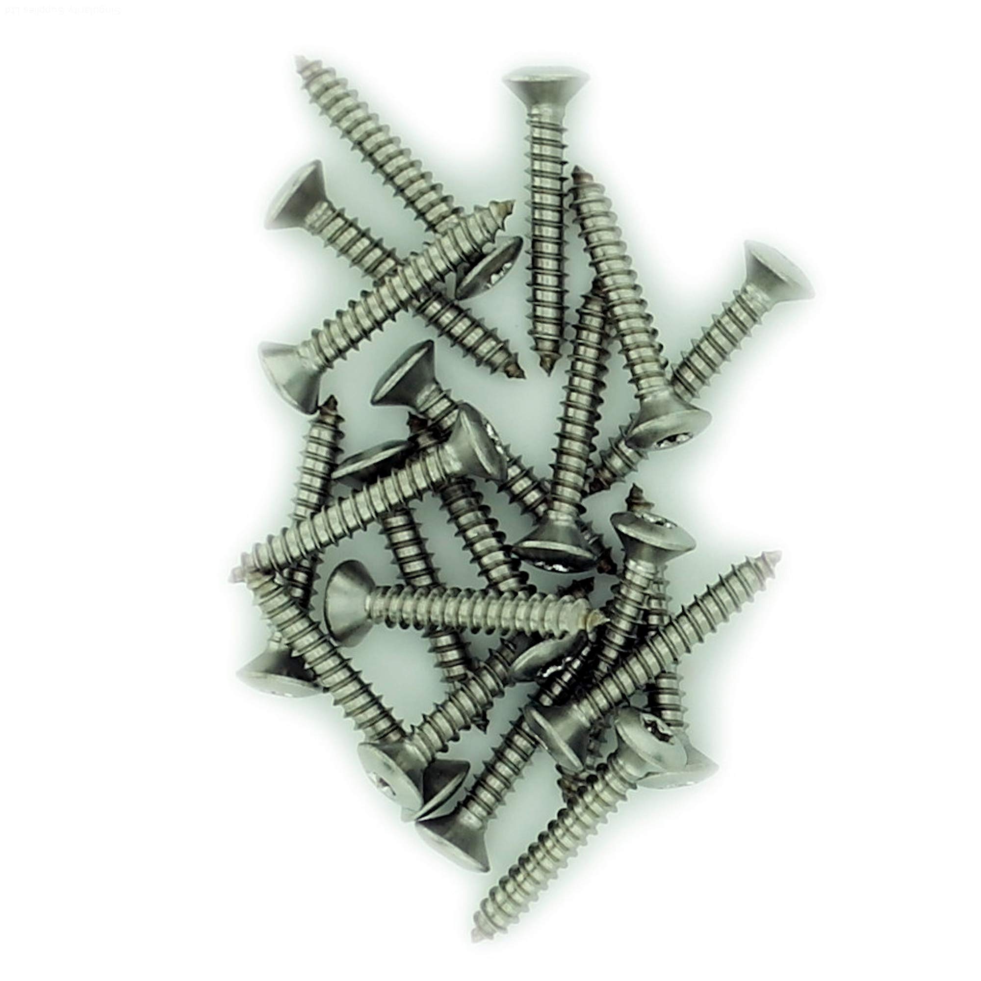 No.8 x 0.375 (4.2mm x 9.5mm) TX Raised Countersunk Self-Tapping Screw - Stainless Steel (A2) (Pack of 20) — image 1