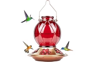 BOLITE Hummingbird Feeder, Glass Hummingbird Feeder for Outdoors, Meshy Texture Ball Shape Bottle, 20 Ounces, Red, Birthday Gifts for Women Men, Gifts for Mom Dad