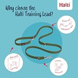 Halti Training Lead Large Forest Green 2m No-Pull Double-Ended Dog Lead view 3