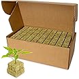 Erilolen 1" Rockwool Grow Cubes for Hydroponics - 200 PCS Rock Wools Starter Cubes Plugs Stonewool for Hydroponic System, See