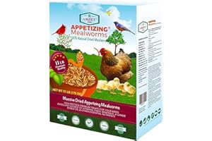Amzey Dried Mealworms 11 LBS - 100% Natural for Chicken Feed, Bird Food, Fish Food, Turtle Food, Duck Food, Reptile Food, Non-GMO, No Preservatives, High Protein and Nutrition