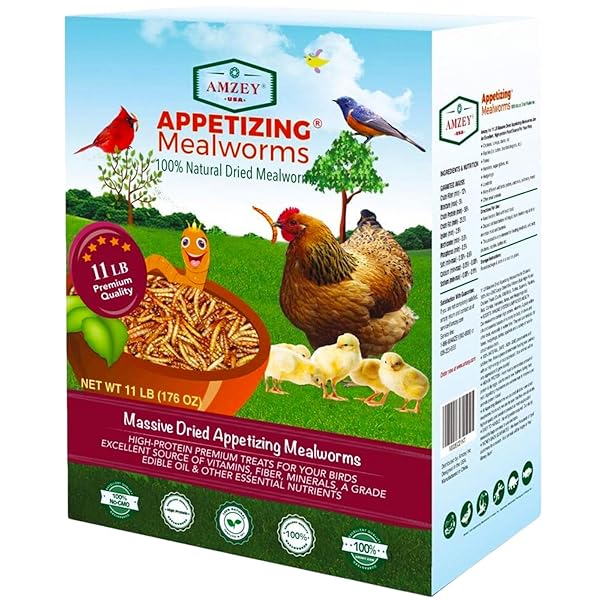 AMZEY DRIED MEALWORMS 11 LBS – 100% NATURAL FOR CHICKEN FEED, BIRD FOOD, FISH FOOD, TURTLE FOOD, DUCK FOOD, REPTILE FOOD, NON-GMO, NO PRESERVATIVES, HIGH PROTEIN AND NUTRITION