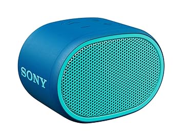 sony srs xb01 pairing two speakers