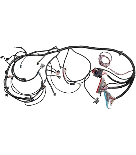 Amazon.com: Dasbecan 4L80E DBC LS Standalone Wiring Harness
