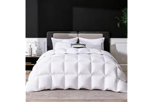 LESNNCIER Luxury Goose Feathers Down Comforter King Size, 750 FP Fluffy All Season Duvet Insert King, Ultra-Soft Hotel Bedding Comforter with Sorona Fill (White, 106x90 Inches)