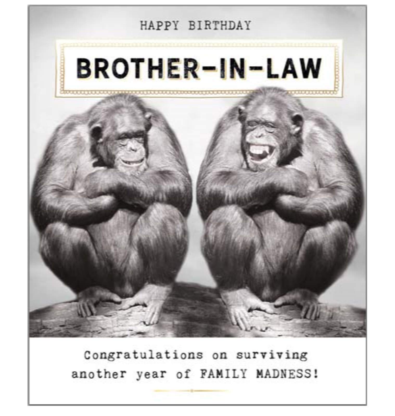 Humour Greeting Card (PP-JQ752B) - Brother-in-Law Birthday - Family Madness - from The Funny Works Range - Foil Finish