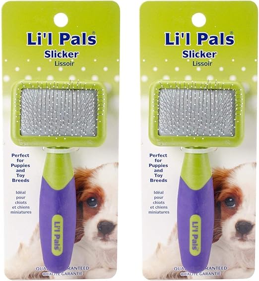 puppy brush amazon