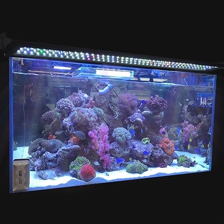 Amazon Co Jp 36 0 5 W 129 Led水槽ライトフルスペクトルマルチカラーランプ36 43 魚タンク ホーム キッチン