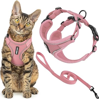 Voyager Best Pet Supplies - Conjunto de arnês e trela para gatos à prova de fuga, com costuras refletivas, cabo de neoprene de 1,5 m, suporta gatos pequenos, médios e grandes, e gatinhos para