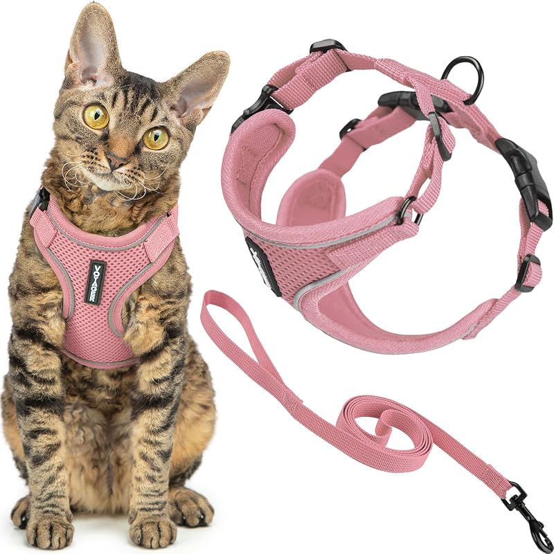 Voyager Ensemble harnais et laisse anti-fugue pour chat avec coutures réfléchissantes, poignée en néoprène de 1,5 m – Convient aux chats, chatons de petite, moyenne et grande taille,