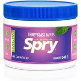 Spry Xylitol Breath Mints Sugar Free, Berry Blast, 240 Count - Pack of 1 | Natural, Non-GMO, Gluten-Free for Cavities, Bad Breath Freshening, Dry Mouth, Promote Oral Health, Increase Saliva Production