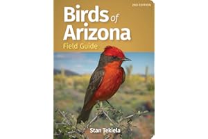 Birds of Arizona Field Guide (Bird Identification Guides)