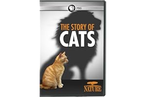 NATURE: The Story of Cats DVD