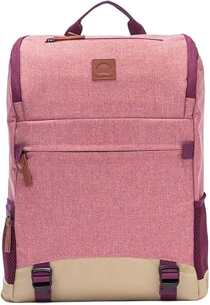delsey maubert backpack