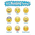 Creative Teaching Press Chart How are You Feeling Today? Emoji Chart (5385), Multi