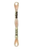 Dmc 6-Strand Embroidery Cotton 8.7yd-Light Tawny