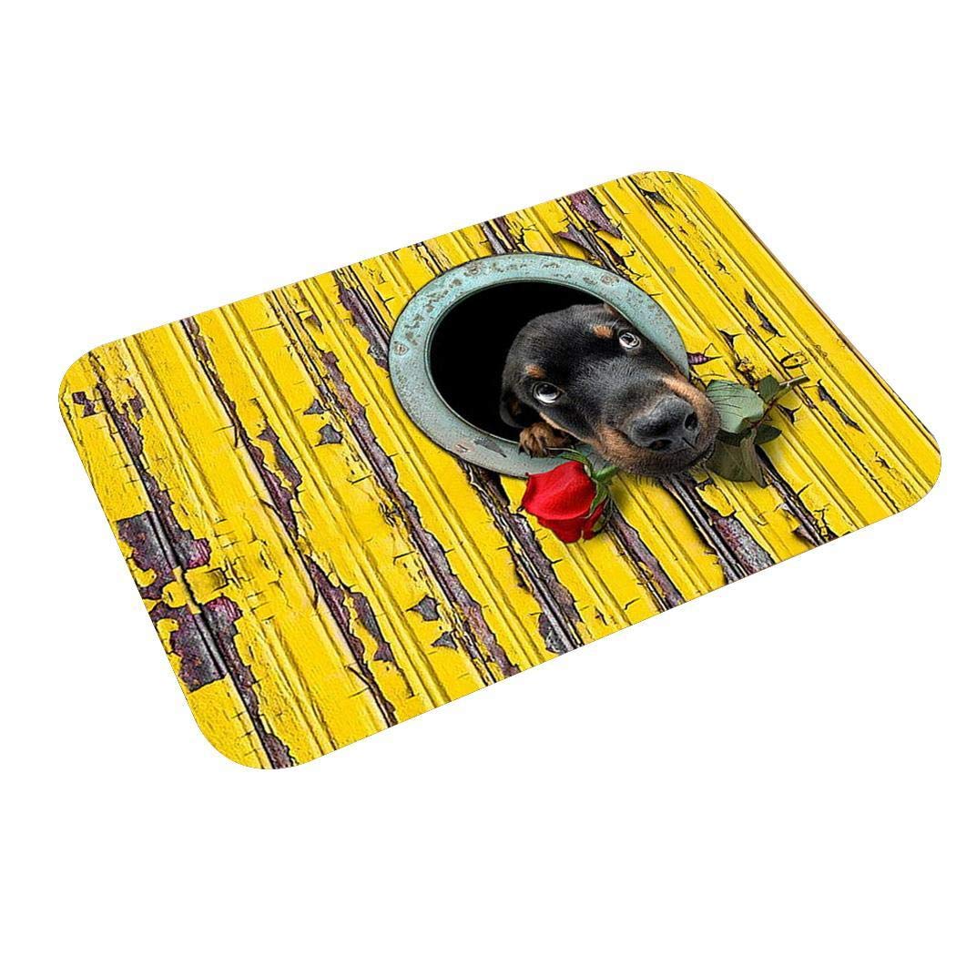 Junio1 Nuevo hogar, baño, Dormitorio, Felpudo, Piso, alfombras Antideslizantes Suaves Alfombras