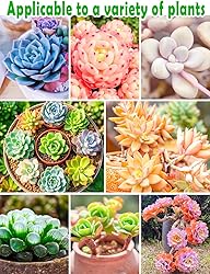 TOYPOPOR Succulent Soil, Cactus Potting Mix 6