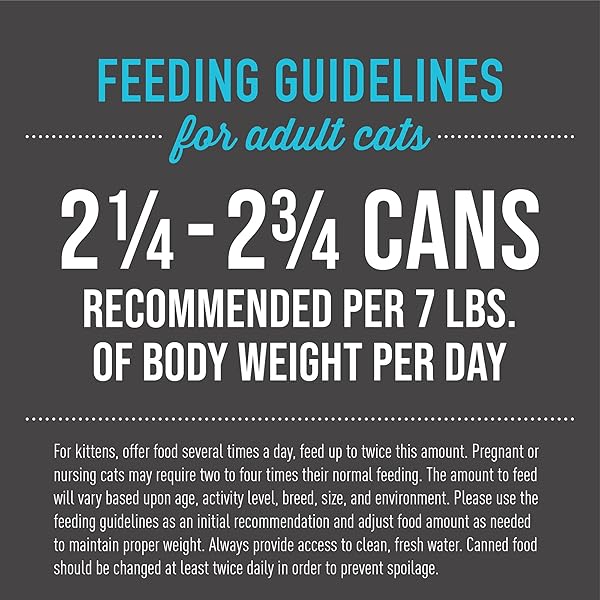 TIKI CAT ALOHA FRIENDS VARIETY PACK, SEAFOOD FLAVORS WITH PUMPKIN, WET, HIGH-PROTEIN & HIGH-MOISTURE CAT FOOD, FOR ALL LIFE STAGES, 3 OZ. CANS (PACK OF 12)