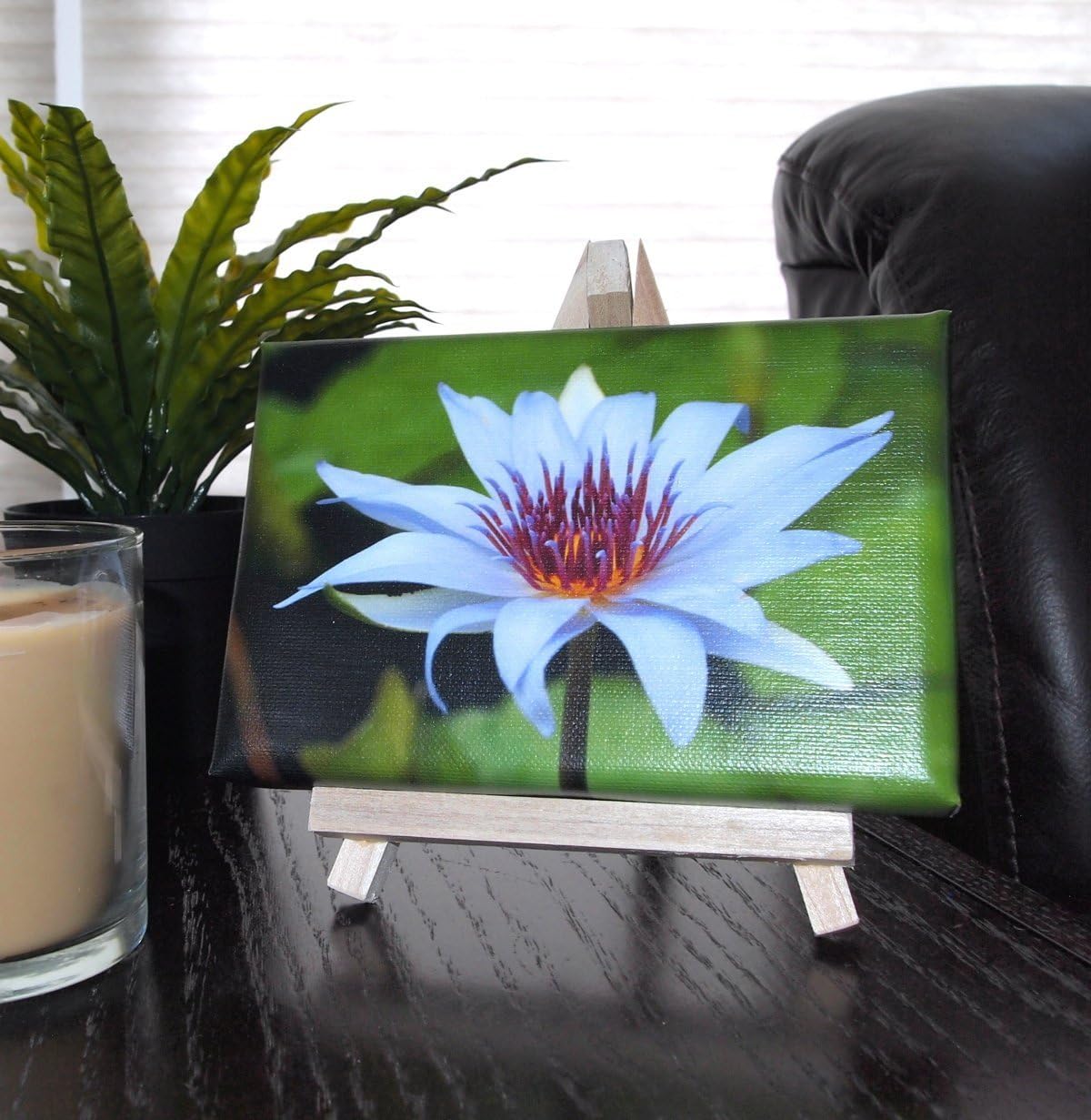 Water Lily 4 x 6 Canvas with Easel