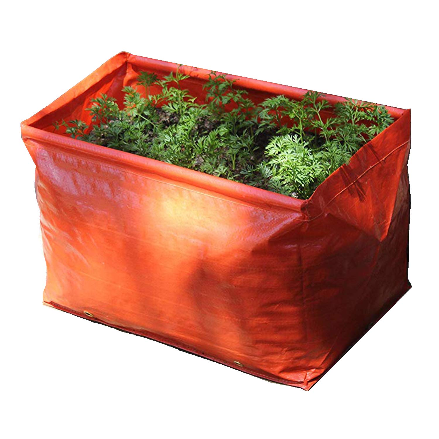 Haxnicks 2 x Garden Carrot Planter | Grow Bag Trough Planter For Planting Carrots | Pack Of 2, 45 x 30 x 30 cm | Planter140101 |, Red — image 1