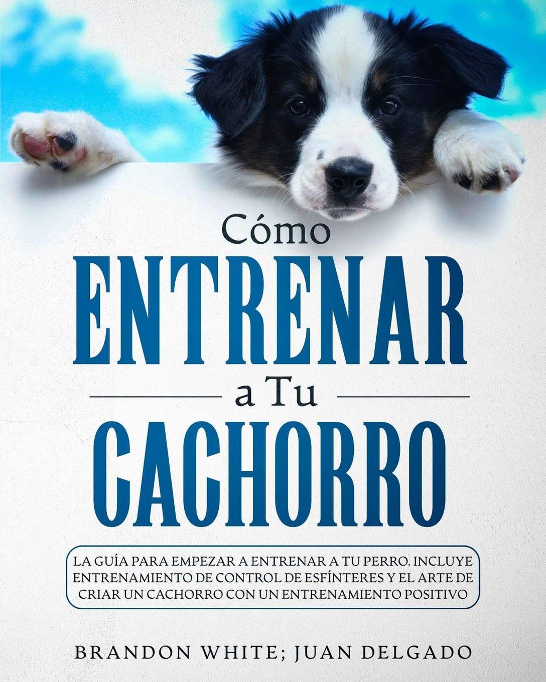 Palabras Para Adiestrar Un Perro En Ingles Cómo entrenar a tu cachorro: La guía para empezar a entrenar a tu perro.  Incluye entrenamiento de control de esfínteres y el arte de criar un  cachorro con un entrenamiento positivo (Spanish