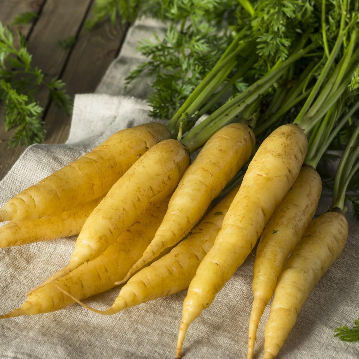 PREMIER SEEDS DIRECT - Solar Yellow Carrot Seeds - 2 Grams