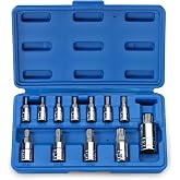 Neiko 10086A 6 Point Torx Plus Bit Socket Set, 1/4-Inch, 3/8-Inch and 1/2-Inch Drive, TP8 - TP60, 12-Piece