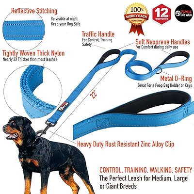really long dog leash