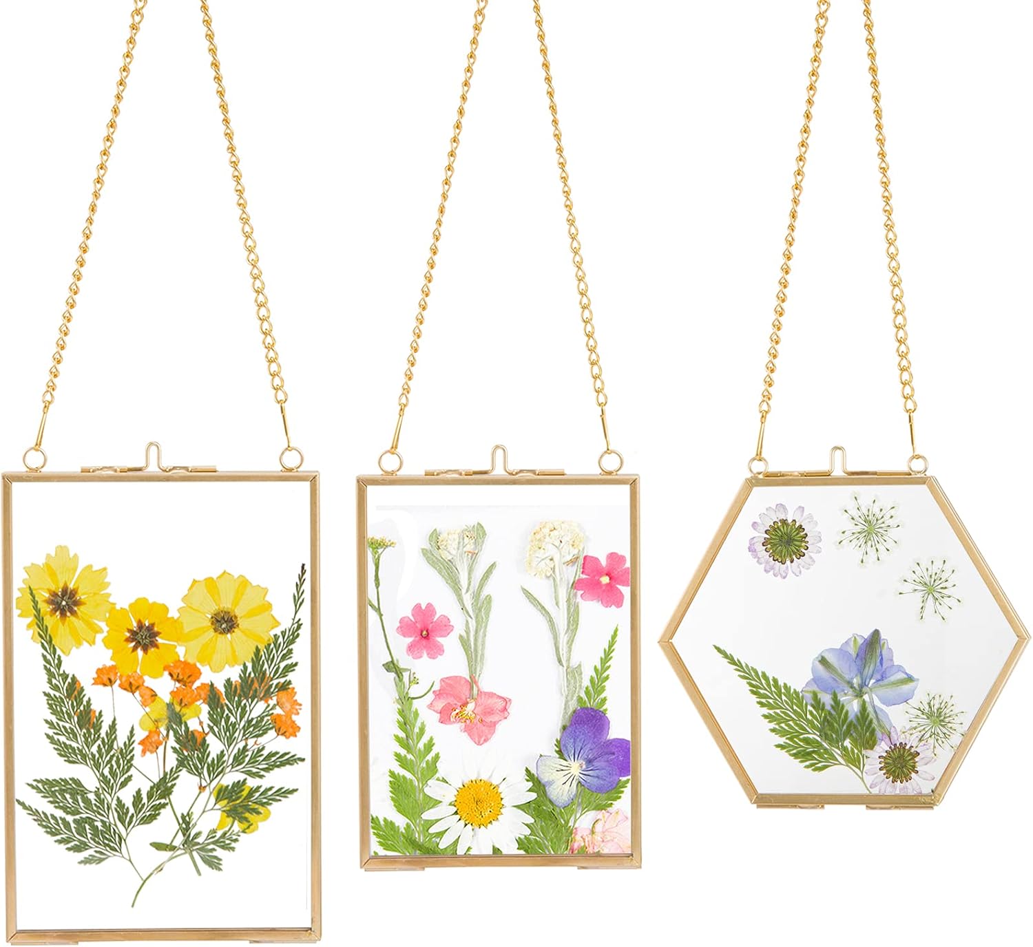 3 Packs Pressed Flowers Glass Frames- Golden Hanging Glass Picture Frames with Chain Floating DIY Artwork Display Frames in 3 Sizes for Dried Plant Specimen Kids Art Photo Display Gallery Wall Decor