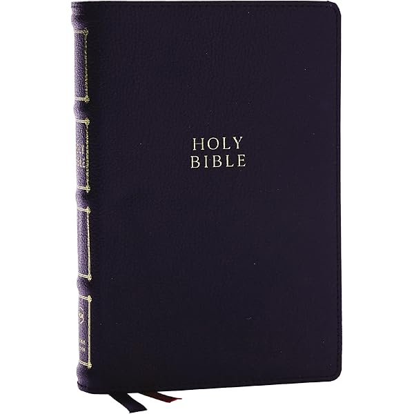 KJV Holy Bible: Compact Bible with 43,000 Center-Column