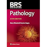 BRS NEUROANATOMY BOARD REVIEW SERIES BY GOULD PHD DOUGLAS J PUBLISHED BY LIPPINCOTT WILLIAMS WILKINS 5TH FIFTH EDITION 2013 PAPERBACK PDF visual data 6
