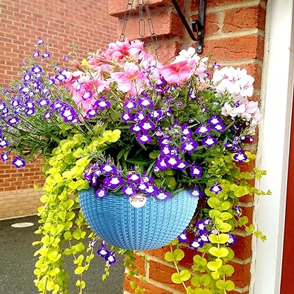 Home Tech Woven Design Hanging Basket Planters Indoor Outdoor Hanging Flower Plant Pot with Hanging Chain(Pack of 1)