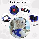 Joytale Step in Dog Harness Navy Blue Small Breeds Breathable Reflective view 6