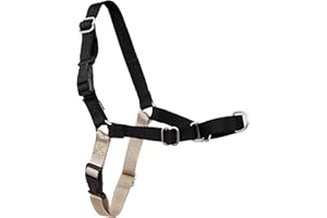 PetSafe Easy Walk Harness for Dogs - Pull-Free Walks - Patented Martingale Loop Design - Front Chest Leash Attachment - Adjustable Comfort Straps - Breathable Harness Design - Large, Black/Silver
