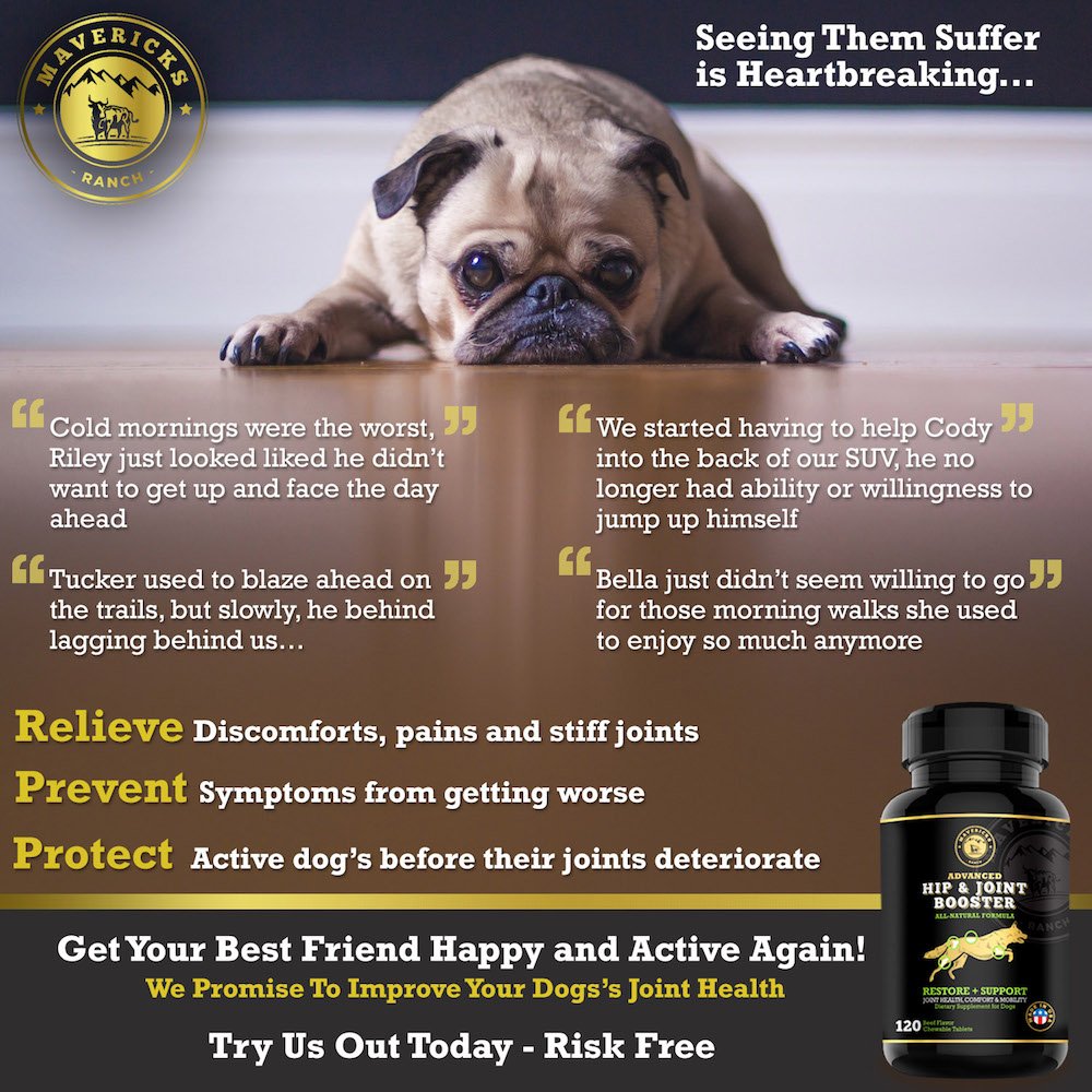 Mavericks Ranch Hip and Joint Supplement For Dogs | Best Canine Glucosamine Chondroitin, MSM & Vitamins C & E | 30-120 Day Support | 100% Natural & Made In USA | FDA | Chews Treats