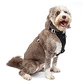 Kurgo Enhanced Strength Tru-Fit Dog Car Harness - Pet Travel Safety Harness - Crash Test Certified Fit - Five Point Adjustmen