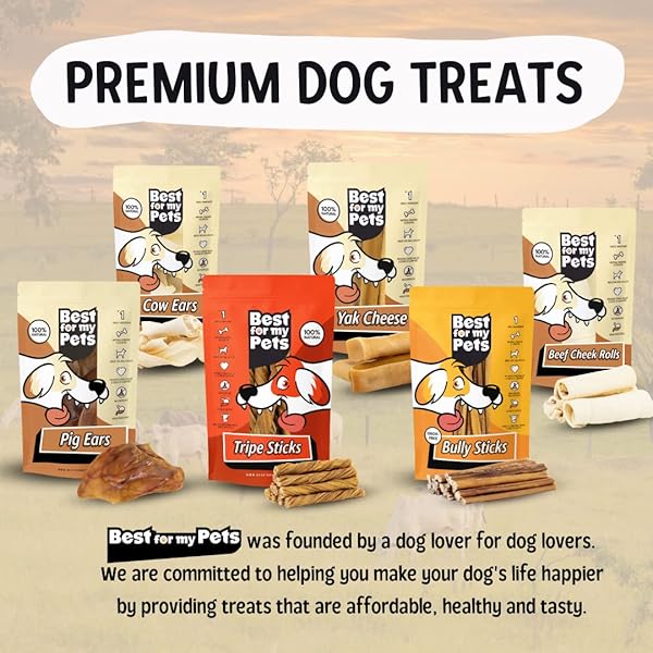 BEST FOR MY PETS BRAIDED BULLY STICKS FOR DOGS (6 INCH, 6 PACK) – PREMIUM LONG LASTING DOG CHEW TREATS TO KEEP PUPPIES AND DOGS HAPPILY BUSY – DOG DENTAL CHEWS – FULLY DIGESTIBLE RAWHIDE-FREE TREATS