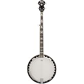 Washburn B10 5-String Banjo, Sunburst Gloss Finish