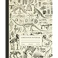 Composition Notebook College Ruled: Dinosaur Fossils Vintage Science Illustration | Cute Paleontology Journal For School, College, Office, Work | Wide Lined