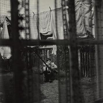 Image result for paul mccartney chaos and creation in the backyard vinyl