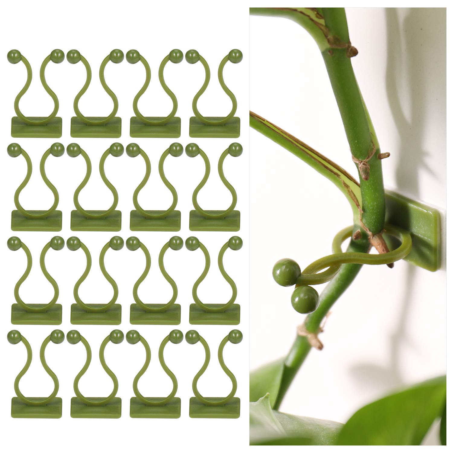 Zocipro 100 x Self-Adhesive Plant Support Clips, Green Vine Wall Clip, Wall Fixer, Plant Support Hook, Plant Support Clip, Plant Stake, Wall Decoration