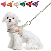 BEAUTYZOO Small Dog Harness and Leash Set, No Pull Step in Puppy Vest | Breathable Mesh with Handle, Reflective, Adjustable No Choke Escape Proof, Lightweight, Easy Control for Walking, Beige S