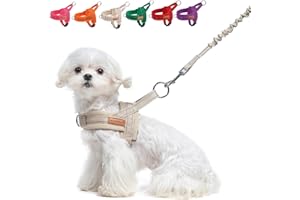 BEAUTYZOO Dog Harness for Small Dogs, No Pull Dog Harness and Leash Set, Soft Escape Proof Puppy Vest Harness with Handle, Reflective Lightweight Step in Harness for Girl Boy Dogs, Beige S
