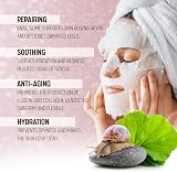 BeautyKei Korean Snail Jelly Sheet Mask Pack of 10 - Deep Moisturizing view 2