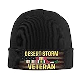 Silston Desert Storm Veteran Pride Persian Gulf War