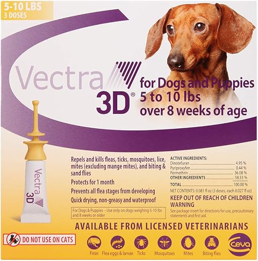 freshwater aquarium care